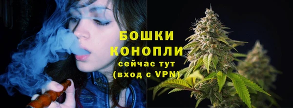 молекула духа Майский