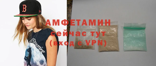 молекула духа Майский