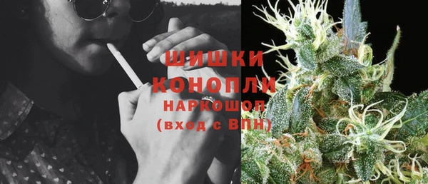 молекула духа Майский