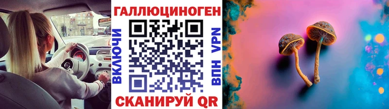 Псилоцибиновые грибы Psilocybe Сольвычегодск
